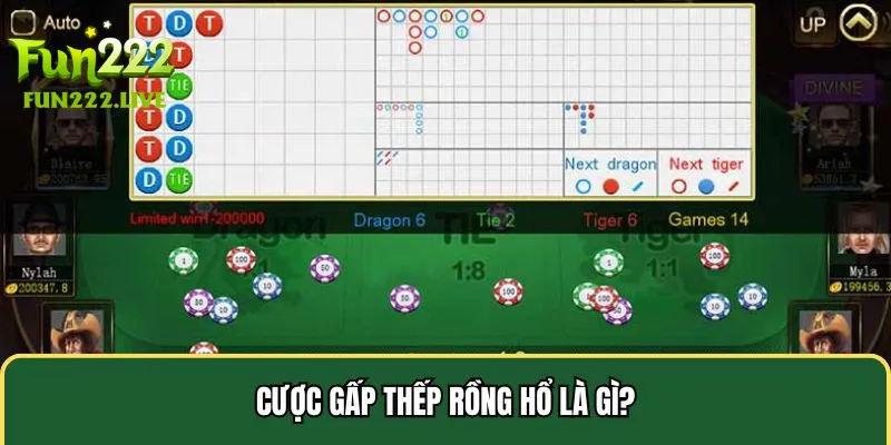 Cược gấp thếp Rồng Hổ là gì?